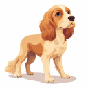 Clumber Spaniel