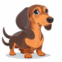 Dachshund