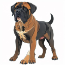 Neapolitan Mastiff