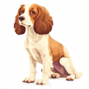 Brittany Spaniel