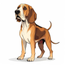Bloodhound