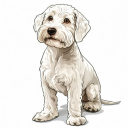 Bedlington Terrier