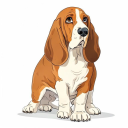 Basset Hound