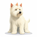 West Highland White Terrier