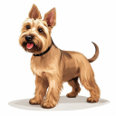Scottish Terrier
