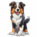 Australian Shepherd