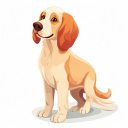 English Setter