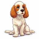 Cocker Spaniel