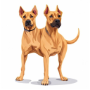 Presa Canario