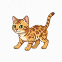 Bengal Cat