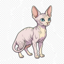 Sphynx