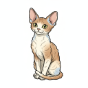 Devon Rex