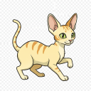 Cornish Rex