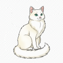 Turkish Angora
