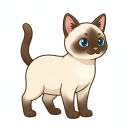 Colorpoint Shorthair