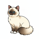 Birman