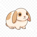 Mini Lop