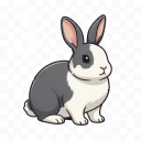 Dutch Rabbit