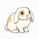French Lop