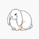 English Angora