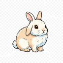 American Fuzzy Lop