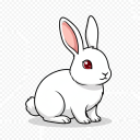 New Zealand White
