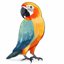 Sun Conure
