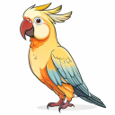 Cockatoo
