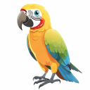 Amazon Parrot