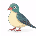 Java Turtle Dove