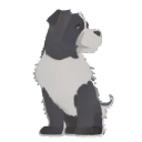 Giant Schnauzer