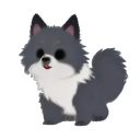 Keeshond