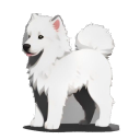 Kuvasz