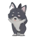 Norwegian Elkhound