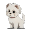 Soft Coated Wheaten Terrier