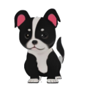 Staffordshire Bull Terrier