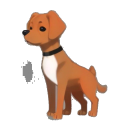Vizsla