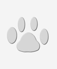 TH.CH. altman of dog house pet center