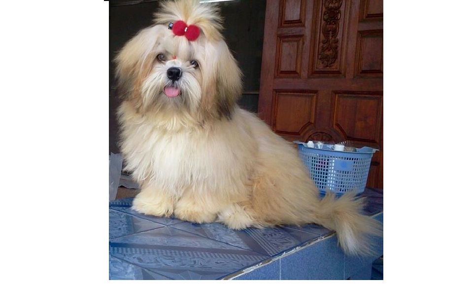 ยูโร