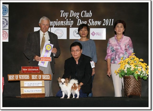 TH.CH.WOLFING OF MING DOG HOUSE FCI