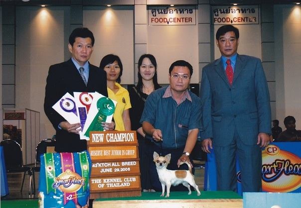 TH.CH.TINYPAWS OF A.P.SRISUTHAM "MIO"