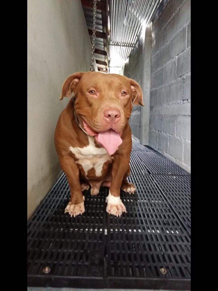 Milo