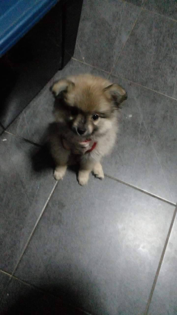 �ҡ����