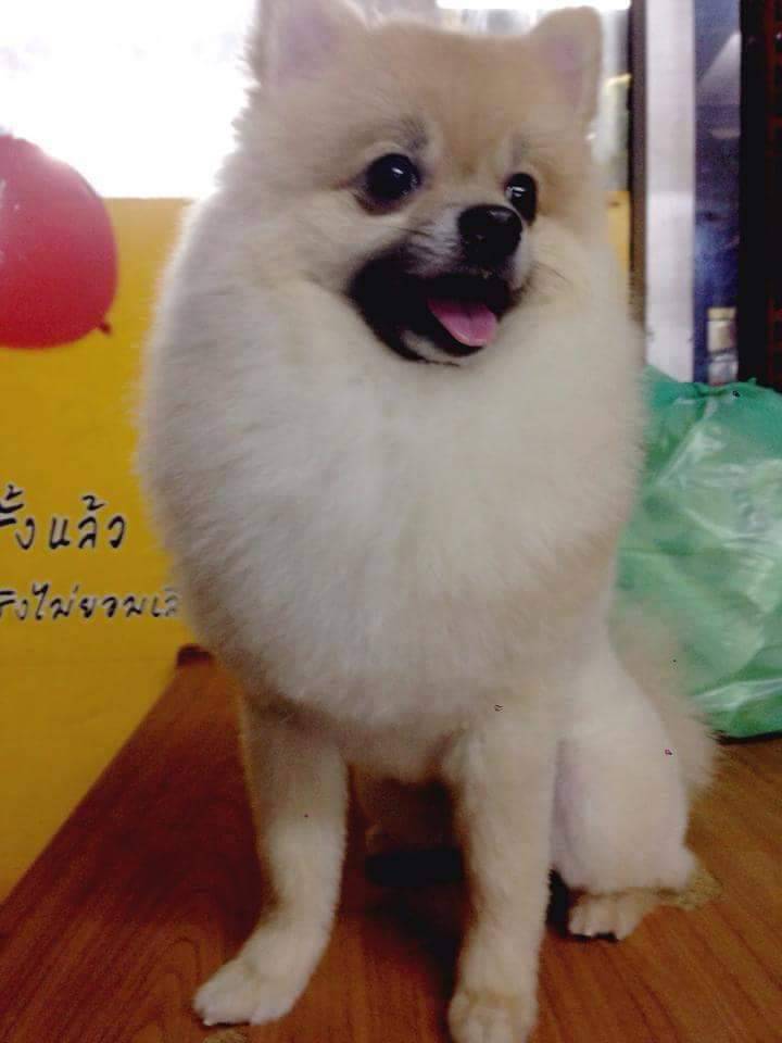 ������