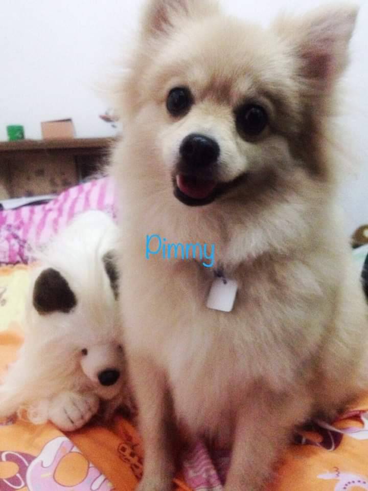 ���